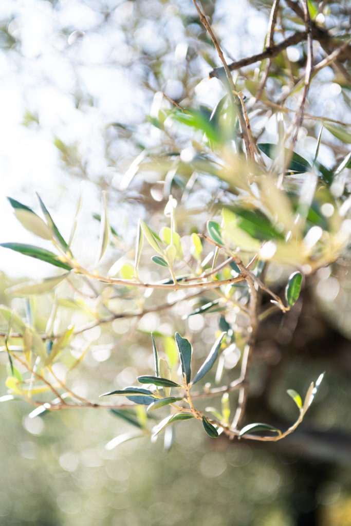 Photographe Mariage Bordeaux