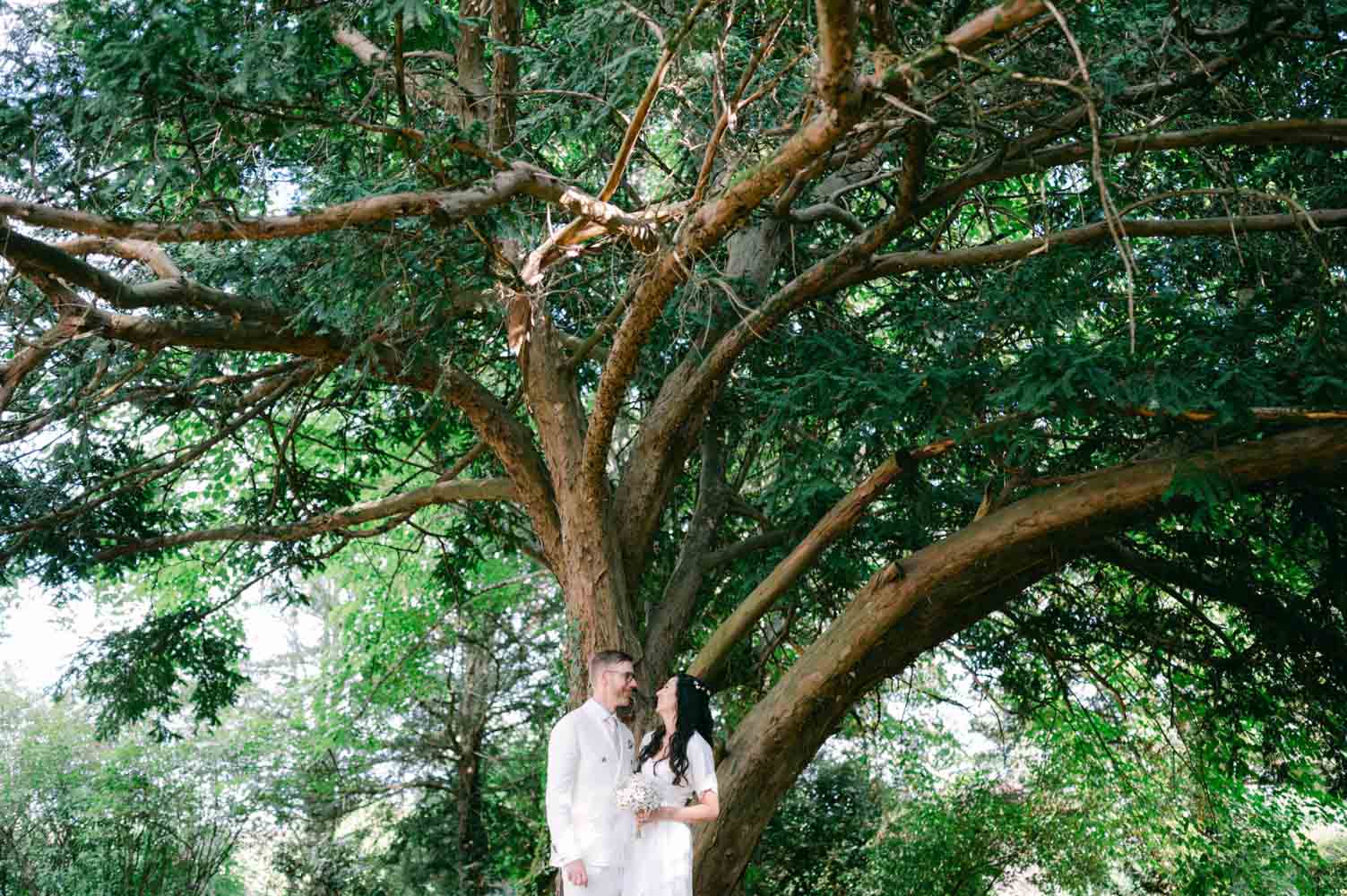 Photo des mariés devant un arbre