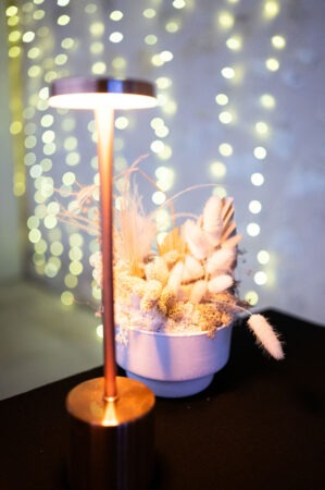 Soiree-Deval-Traiteur-Chateau-de-Seguin-31-oct-2025-Photographe-Marine-Monteils-007-BD