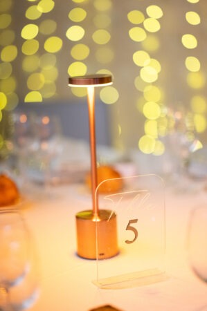 Soiree-Deval-Traiteur-Chateau-de-Seguin-31-oct-2025-Photographe-Marine-Monteils-020-BD