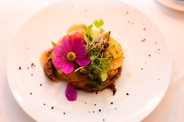 Soiree-Deval-Traiteur-Chateau-de-Seguin-31-oct-2025-Photographe-Marine-Monteils-091-BD