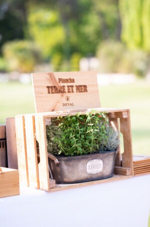 Evenement-Mariage-Chateau-de-la-Ligne-Avril-2025-Photographe-Marine-Monteils-022-MD