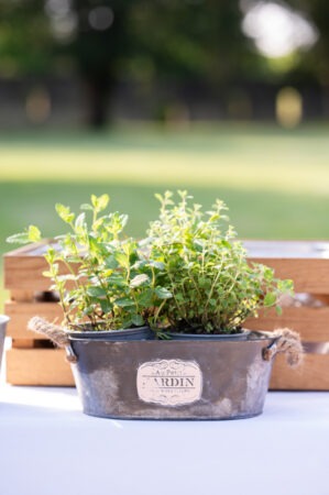 Evenement-Mariage-Chateau-de-la-Ligne-Avril-2025-Photographe-Marine-Monteils-023-MD