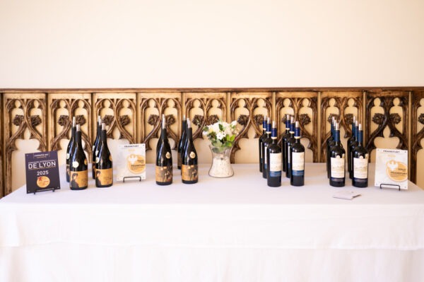 Evenement-Mariage-Chateau-de-la-Ligne-Avril-2025-Photographe-Marine-Monteils-024-MD