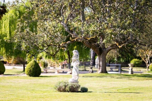 Evenement-Mariage-Chateau-de-la-Ligne-Avril-2025-Photographe-Marine-Monteils-039-MD