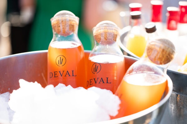 Evenement-Mariage-Chateau-de-la-Ligne-Avril-2025-Photographe-Marine-Monteils-120-MD